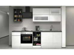 Cozinha completa Dcastill, Conjunto com despensa, Armário de cozinha, Kit de bloco linear, 100% Fabricado em Itália, 255x60h85 cm, Branco brilhante e ardósia