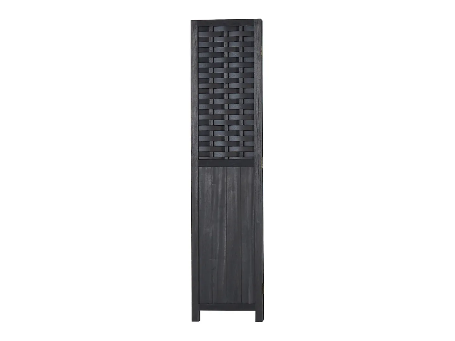 Divisor de ambiente 120x2,2x170 cm preto