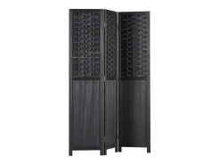 Divisor de ambiente 120x2,2x170 cm preto