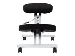 Ergochair Ergochair Negro - Aluminio