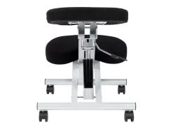 Ergochair Ergochair Negro - Aluminio