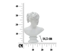 Escultura clássica decorativa de meia cabeça em poliresina H34cm Mulher Mauro Ferretti