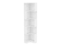 Estante 63,5×45×175 cm - fita LED com mudança de cor - 5 níveis de armazenamento - design de canto - branco