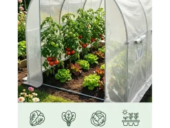 Estufa de jardim tipo túnel com estrutura metálica e lona de PE com paredes enroláveis, 1 porta, 6 janelas Branca 200x300x200 cm
