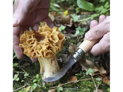 Faca para cogumelos Opinel - 8 cm, lâmina curva em aço inoxidável, cabo de faia envernizado natural
