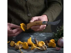 Faca para cogumelos Opinel - 8 cm, lâmina curva em aço inoxidável, cabo de faia envernizado natural