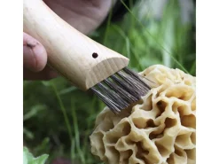 Faca para cogumelos Opinel - 8 cm, lâmina curva em aço inoxidável, cabo de faia envernizado natural