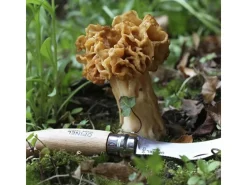 Faca para cogumelos Opinel - 8 cm, lâmina curva em aço inoxidável, cabo de faia envernizado natural