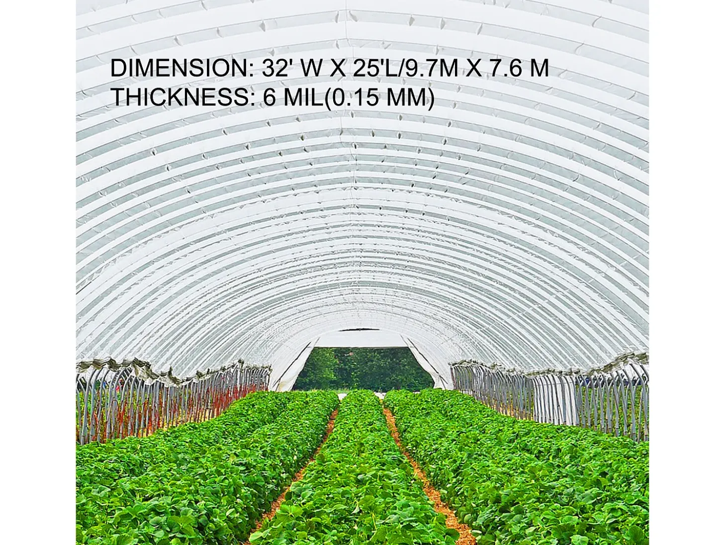 Filme de Estufa SucceBuy, 9.76x7.62 m, Cobertura de Plástico Resistente aos UV, para os Projetos Industriais, Residenciais e Agrícolas