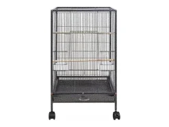 Gaiola metálica para aves exóticas, aviário para papagaios e canários
