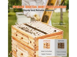 Kit de Colmeia para Abelhas SucceBuy Langstroth 20 Quadros Profundos e 10 Quadros Médios com Janelas de Acrílico
