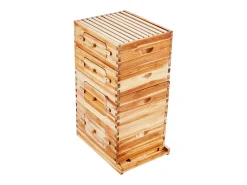 Kit de Colmeia para Abelhas SucceBuy Langstroth 20 Quadros Profundos e 20 Quadros Médios com Janelas de Acrílico