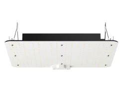 Lâmpada de Crescimento LED SucceBuy 150 W, Espectro Completo de Intensidade Variável, Diodos Samsung para Plantas de Interior, Vegetação, Floração, Estufa