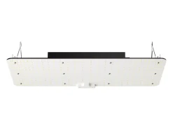 Lâmpada de Crescimento LED SucceBuy 200 W, Diodos Samsung de Alto Rendimento para Plantas de Interior, Mudas, Vegetação e Floração, Cultivo em Estufa