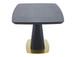 Mesa de jantar para 8 pessoas com folheado de freixo e metal - Preta e dourada - DYLORA
