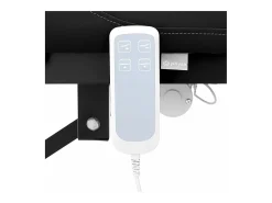 Mesa de massagem elétrica profissional maca de massagem mesa de tratamento fisioterapêutico 2 motores 200 kg preta 14_0007752