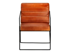 Poltrona de couro genuíno cor bronze