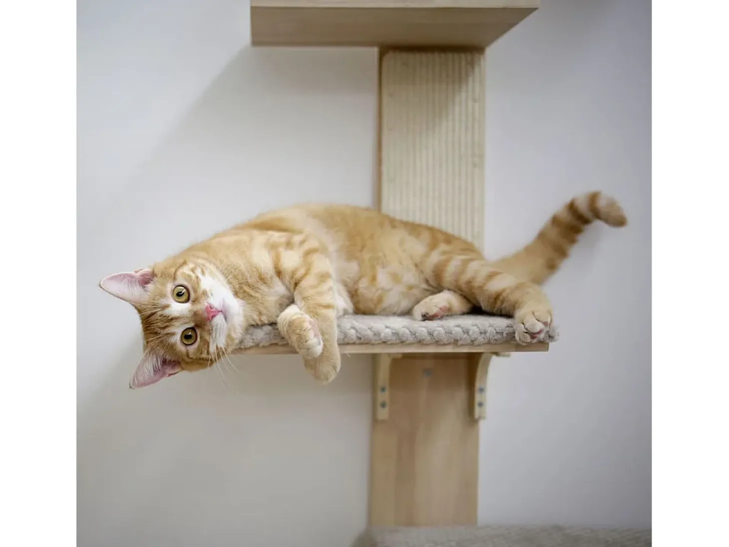Poste arranhador p/ gatos Timber Wall natural/cinza-acastanhado