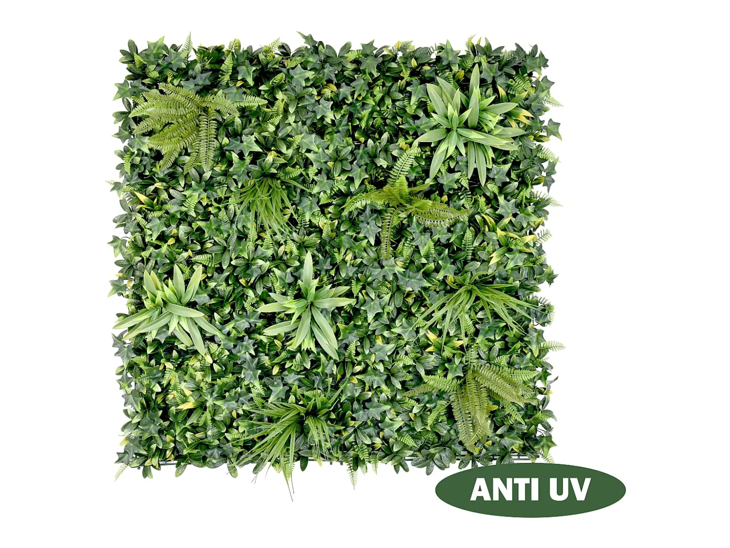 Revestimento de parede vegetal sintético verde, proteção anti-UV, pack de 1 m², DELVIN
