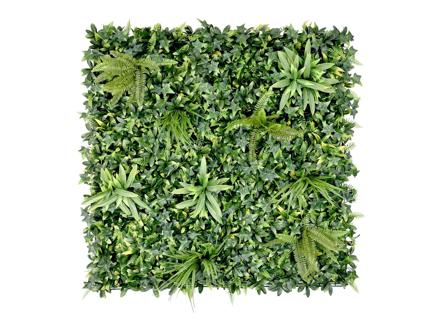 Revestimento de parede vegetal sintético verde, proteção anti-UV, pack de 1 m², DELVIN