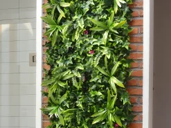 Revestimento de parede vegetal sintético verde, proteção anti-UV, pack de 3m² - IKAZ