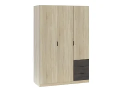 Roupeiro de baixo custo 3 portas 3 gavetas