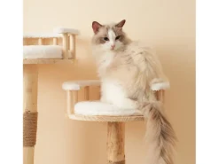 Árvore para gatos - 60 x 48 x 98 cm - com trampolim de 3 níveis + almofadas removíveis + bolas de brincar - Madeira - Branco