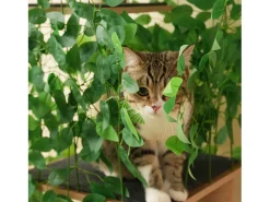 Árvore para gatos - 60 x 45 x 190 cm - com 4 plataformas + tocas para gatos - folhas removíveis - MDF - Verde