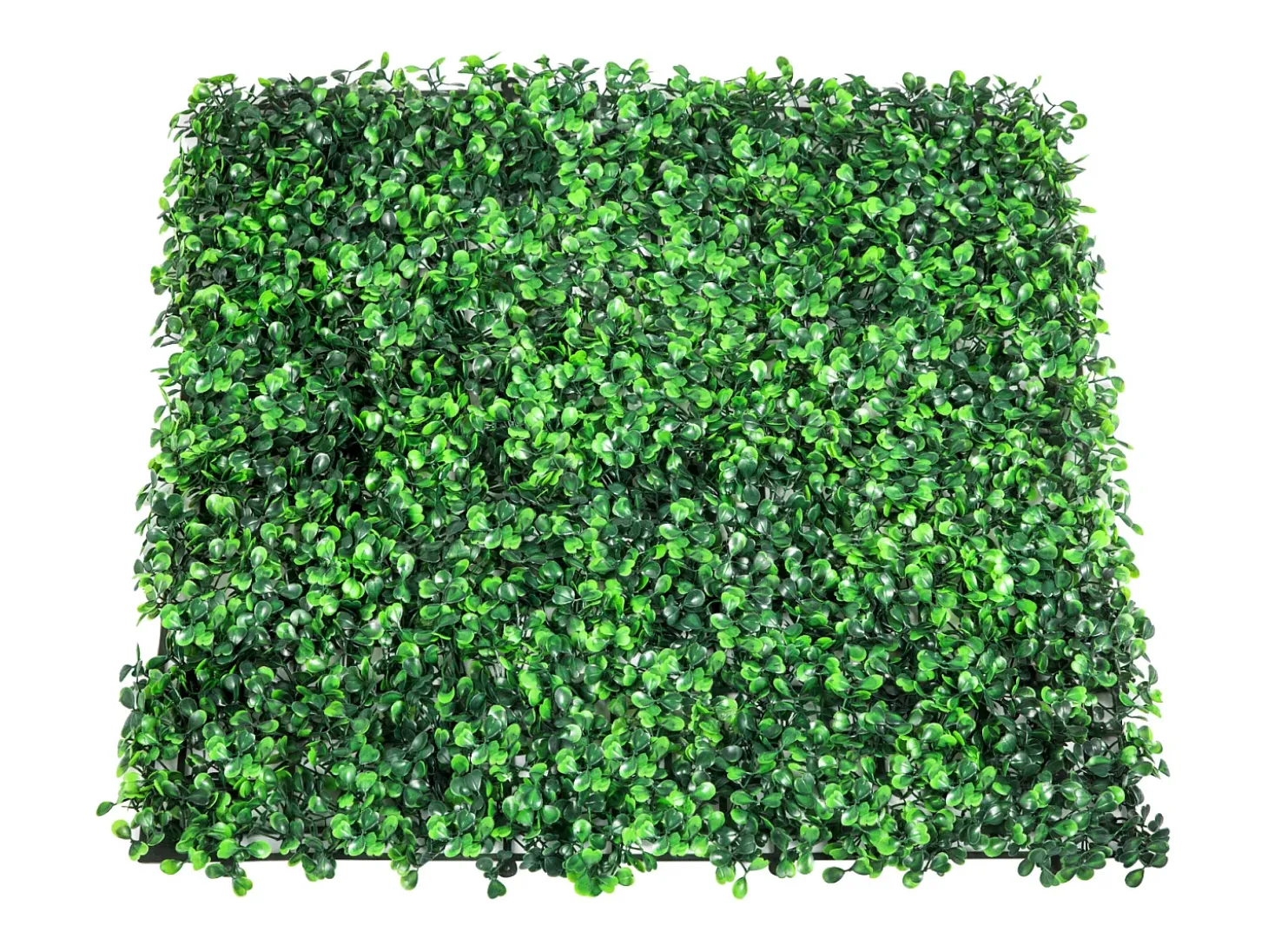 Sebe Artificial SucceBuy Painéis de Sebe Artificial UV com 12 Peças, 50.8 cm x 50.8 cm, Verdes, para Decoração de Vedações