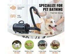 Secador de Pelos para Animais de Estimação SucceBuy 2000 W, Velocidade Ajustável, 4 Bicos, Preto