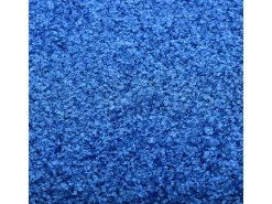 Tapete de Porta Lavável Azul 90x150 cm para Entrada e Saída