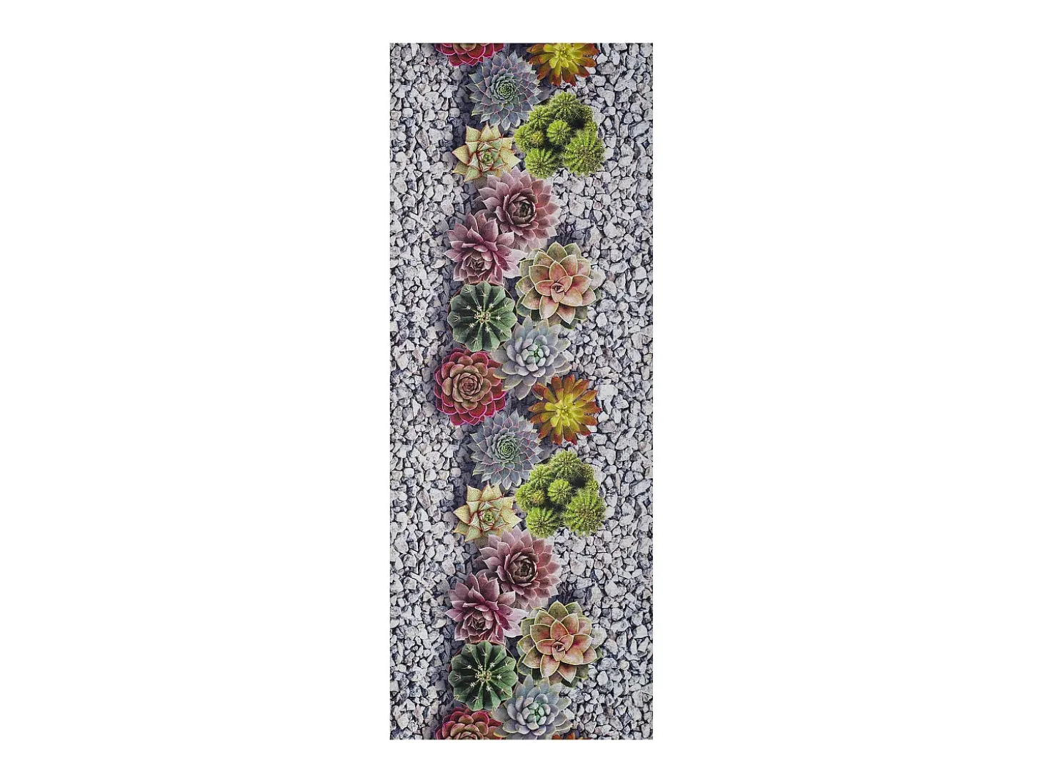 Tapete interior - Desenhos de cactos - cinzento - 52 x 100 cm - SPRINTY