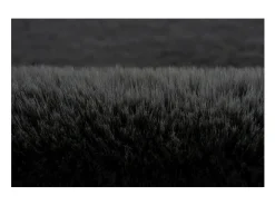 Tapete 290x200cm, design H008N na cor grafite - Conforto e elegância para o seu interior
