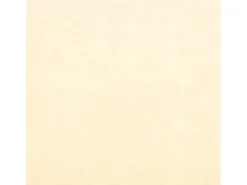 Toldo lateral retrátil/tela de privacidade para pátio jardim terraço varanda 240 x 160 cm creme 02_0007066