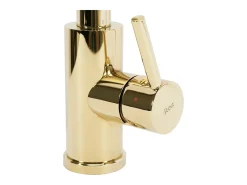 Torneira De Cozinha Rea Fresh Gold