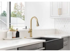 Torneira De Cozinha Rea Nest Brush Gold