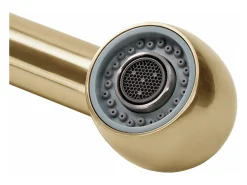 Torneira De Cozinha Rea Troy Brush Gold