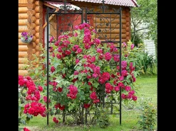 Treliça metálica Unho, conjunto de 2, treliça antirrusto para plantas trepadeiras, 195 x 50 cm, treliça de jardim, decoração de jardim, preto