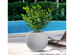 Vaso Botticelli bege em resina, formato esférico, para plantas de interior e exterior, 40x33 cm