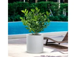 Vaso cilíndrico redondo de resina para plantas de interior e exterior, 36x35 cm, design Modigliani White
