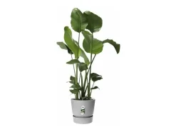 Vaso de flores redondo 25 Cinza concreto vivo ELHO Greenville Rond 25 - Exterior