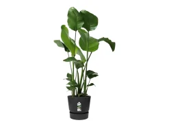 Vaso de flores redondo Greenville 30 - Exterior - Preto - Ø 29,5 x A 27,8 cm