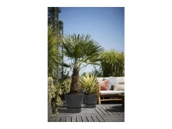 Vaso de flores redondo Greenville 30 - Exterior - Preto - Ø 29,5 x A 27,8 cm