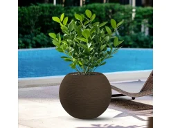 Vaso de resina Botticelli Marrone com design esférico, ideal para plantas de interior e exterior, 40 cm de diâmetro x 33 cm de altura.