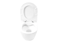 Vaso Sanitário Suspenso Rea Carter Rimless Duroplast/Slim/Zm N White