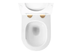 Vaso Sanitário Suspenso Rea Carlo Mini Tornado Nfq Gold Edge
