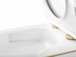 Vaso Sanitário Suspenso Rea Carlo Mini Tornado Nfq Gold Edge