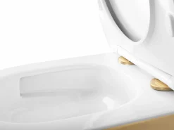 Vaso Sanitário Suspenso Rea Carlo Mini Tornado Nfq White Gold