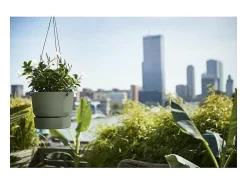 Vaso suspenso Greenville 24 - Exterior - Verde folha