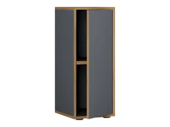 VCM Wood Office Cabinet Folder Arquivo Gabinete de móveis de escritório Salia 2x Largura 30 cm Porta giratória (Antracite)